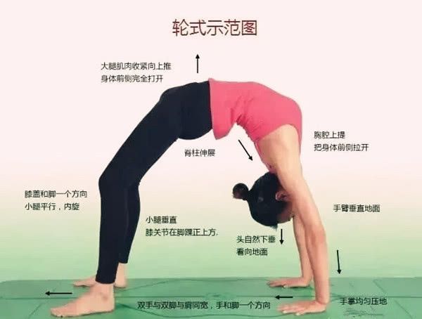 练习哈他瑜伽的轮式体式收紧大腿和臀部肌肉增强手臂力量(图2)