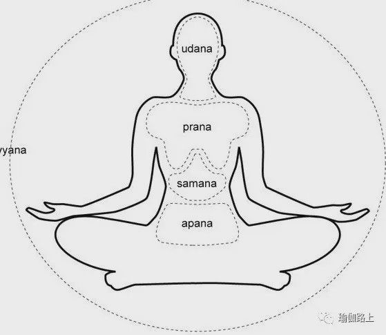 瑜伽说的五行气是什么？(图1)
