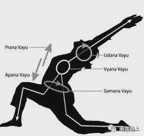 瑜伽说的五行气是什么？(图5)