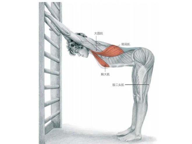 这两个动作让你的背部训练更上层楼！(图4)