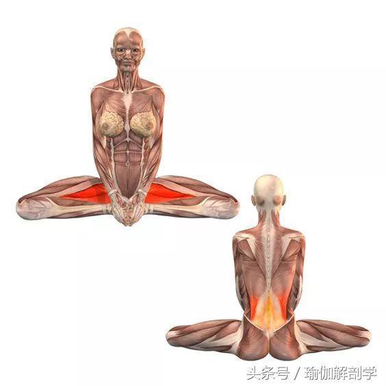 有效缓解经期疼痛的瑜伽束角式你做对了吗？(图1)