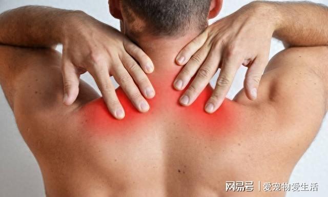 医生：后背疼痛不一定是累的或与6种疾病有关系早了解不吃亏(图1)