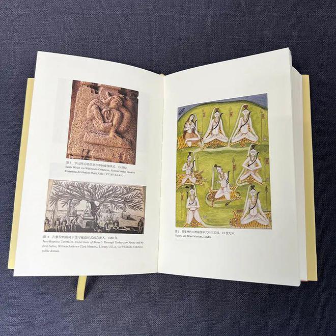 银河娱乐新书 《瑜伽新史：从古印度到现代西方(图4)